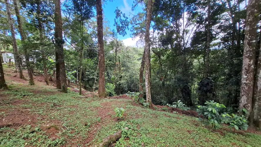 ALTOS DE CERRO AZUL TERRENO EN VENTA - Imagen 7