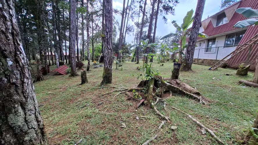 ALTOS DE CERRO AZUL TERRENO EN VENTA - Imagen 9