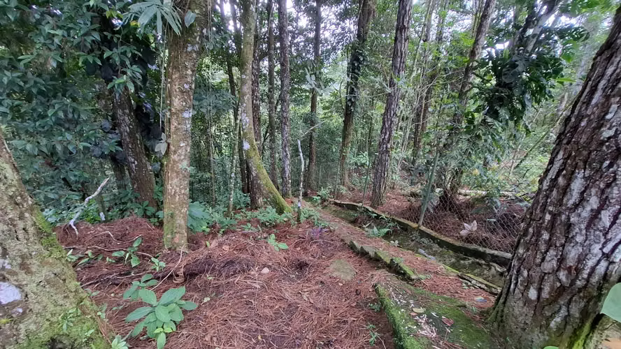 ALTOS DE CERRO AZUL TERRENO EN VENTA - Imagen 10