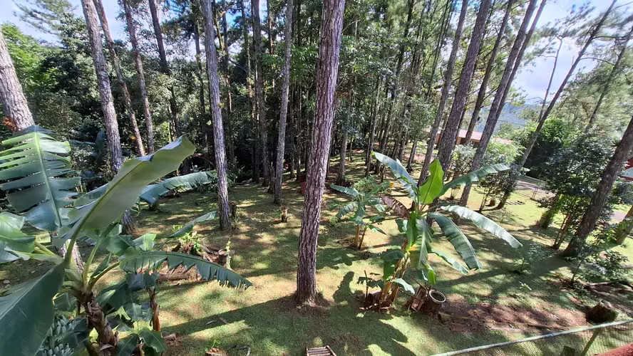 ALTOS DE CERRO AZUL TERRENO EN VENTA - Imagen 4