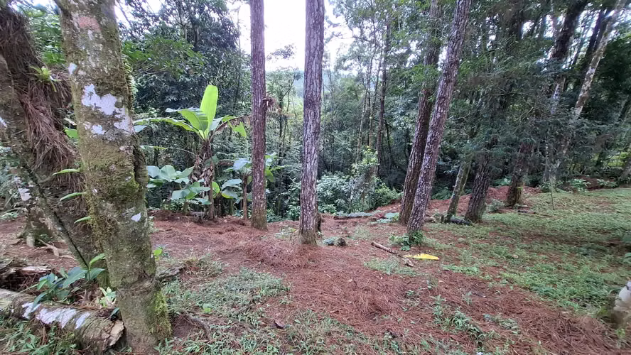ALTOS DE CERRO AZUL TERRENO EN VENTA - Imagen 16