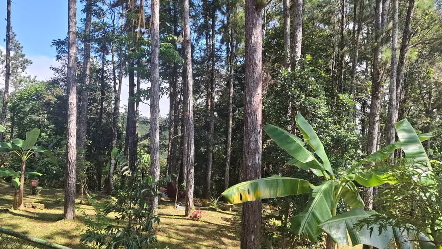 ALTOS DE CERRO AZUL TERRENO EN VENTA - Imagen 3