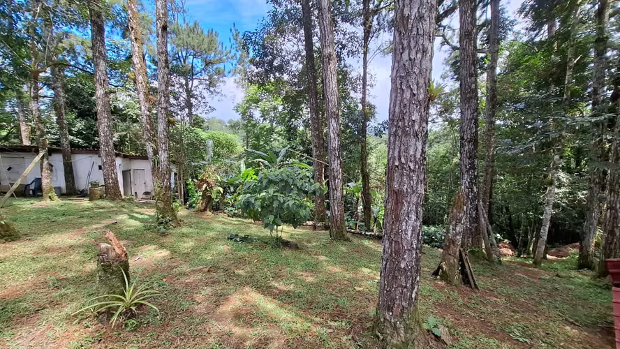 ALTOS DE CERRO AZUL TERRENO EN VENTA - Imagen 13