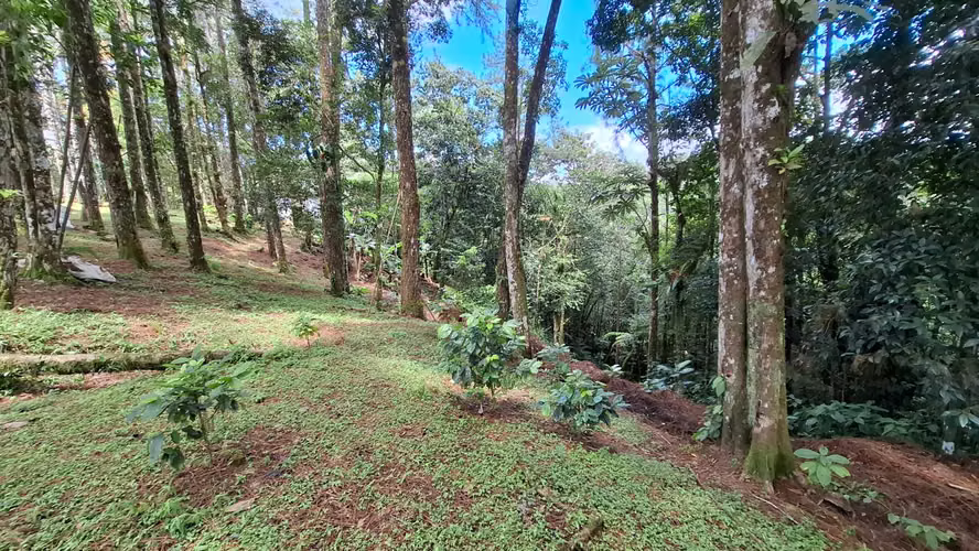 ALTOS DE CERRO AZUL TERRENO EN VENTA - Imagen 12
