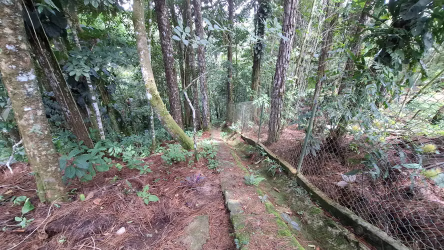 ALTOS DE CERRO AZUL TERRENO EN VENTA - Imagen 6