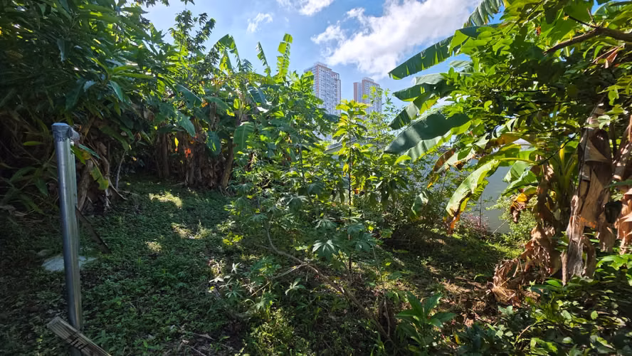 Oportunidad Única Para el Área  | Venta  2 Lotes en Linda Vista,Tumba Muerto  - Imagen 6