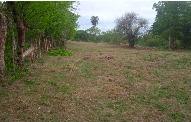 Lotes de terreno en Santiago de Veraguas, Canto del Llano, la pita y Alto de piedra en Santa Fe