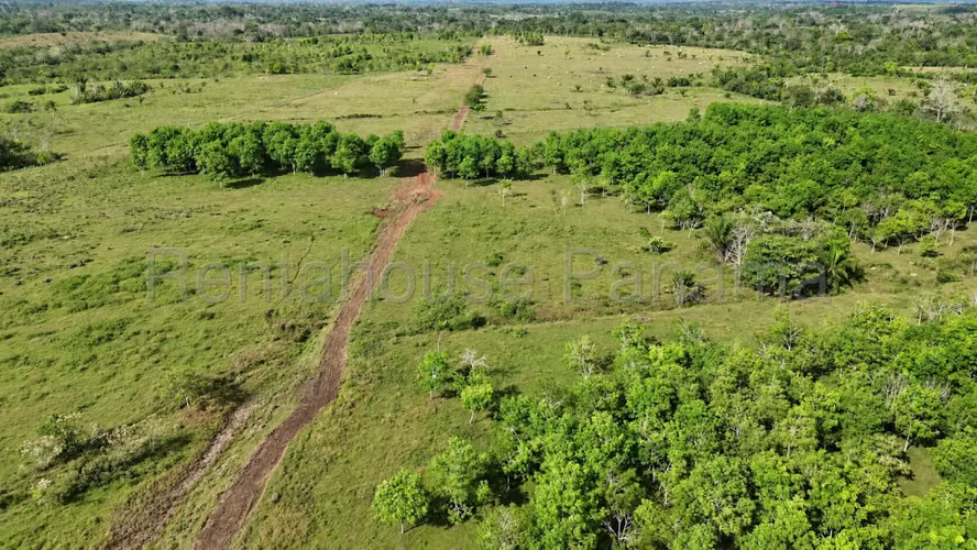 Venta de Terreno Darien HQ - Imagen 4