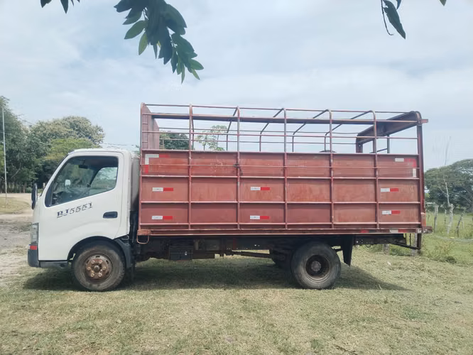 Camion HINO Livestock