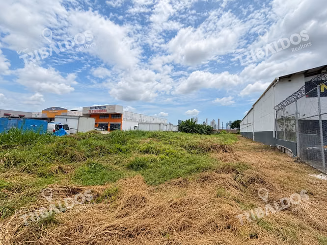 Venta de terreno sobre Ave. José Agustín Arango - Imagen 8