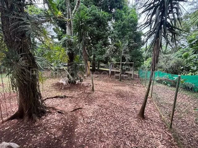VENTA DE CASA EN CHORRERA - Imagen 2
