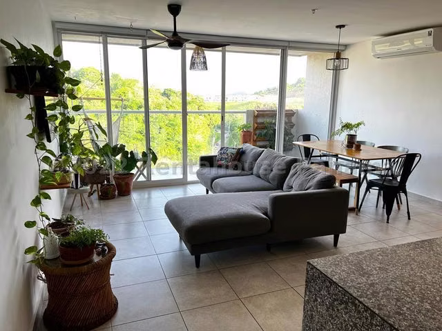VENTA DE APARTAMENTO EN BRISAS DEL GOLF - Imagen 13