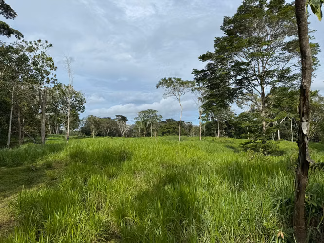 Vendo finca en chorrera - Imagen 3
