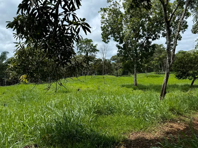 Vendo finca en chorrera - Imagen 2