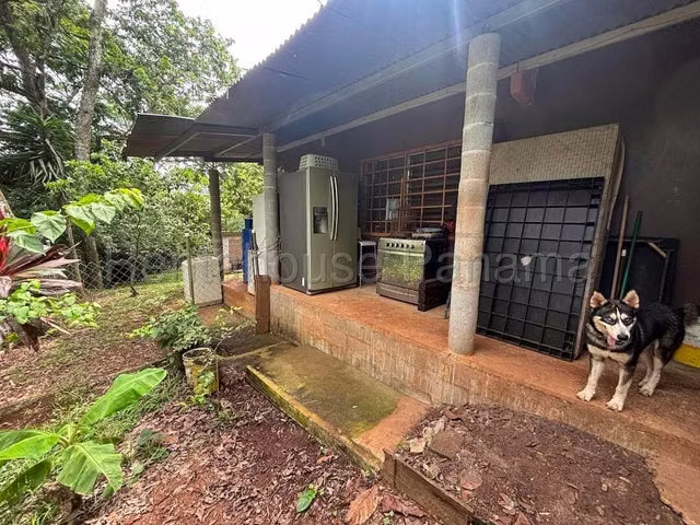 Finca con excelente potencial productivo en venta