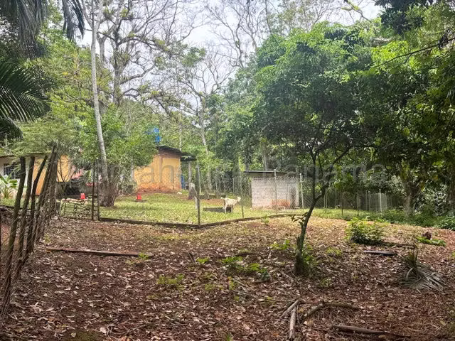 Finca con excelente potencial productivo en venta
