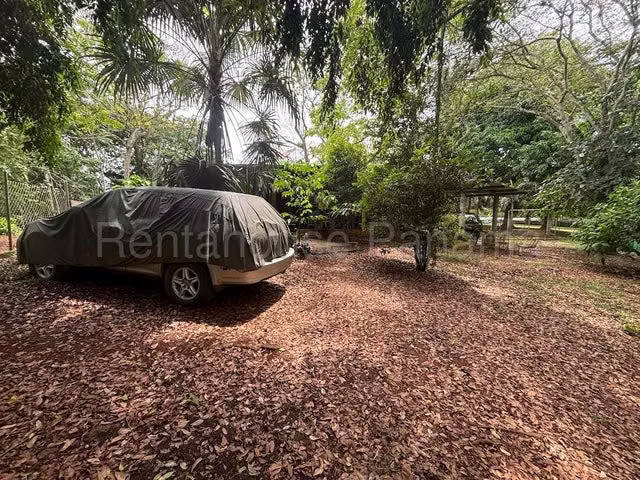 Finca con excelente potencial productivo en venta