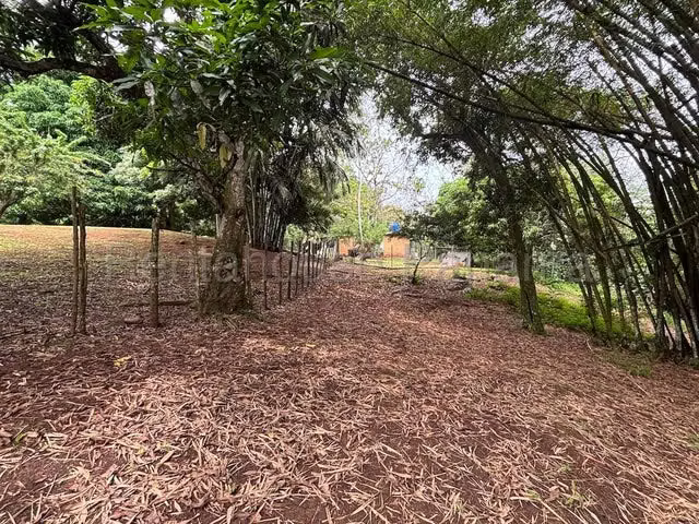 Finca con excelente potencial productivo en venta