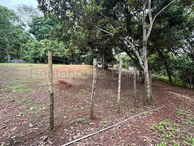 Finca con excelente potencial productivo en venta