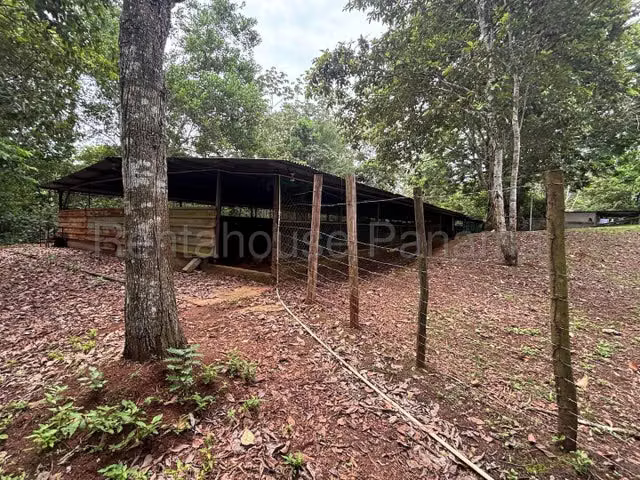 Finca con excelente potencial productivo en venta