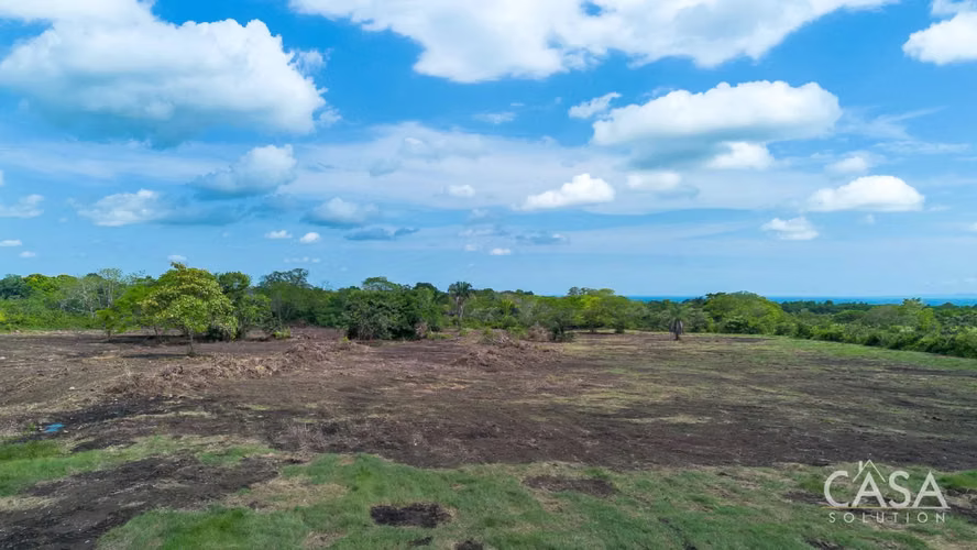 Terreno de 8 Hectáreas en Venta con Frente a la Carretera Panamericana en Bugaba, Panamá