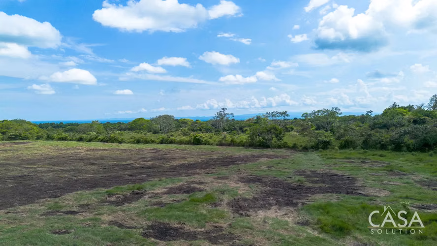 Terreno de 8 Hectáreas en Venta con Frente a la Carretera Panamericana en Bugaba, Panamá