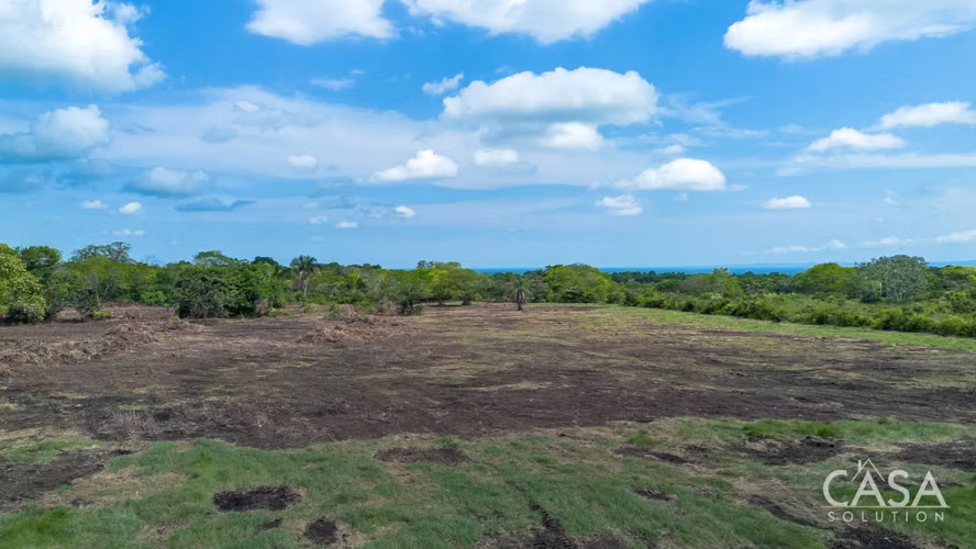 Terreno de 8 Hectáreas en Venta con Frente a la Carretera Panamericana en Bugaba, Panamá
