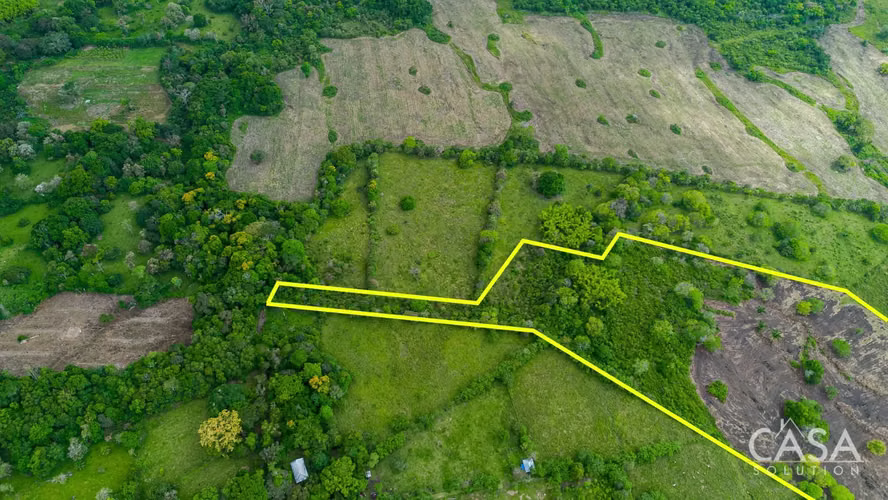 Terreno de 8 Hectáreas en Venta con Frente a la Carretera Panamericana en Bugaba, Panamá