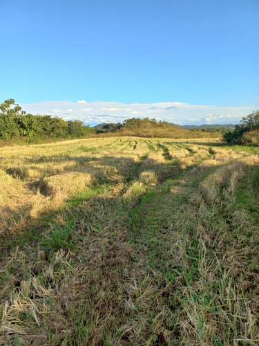 Se VendeTerreno de 44 Hectáreas Planas en Veraguas - Las Rosanitas/Land for Sale: 44 Hectares of Flat Land in Veraguas - - Imagen 1