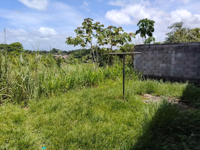 La Chorrera | Jardines de Mastranto | Alquiler de casa 5 recámaras. - Imagen 7