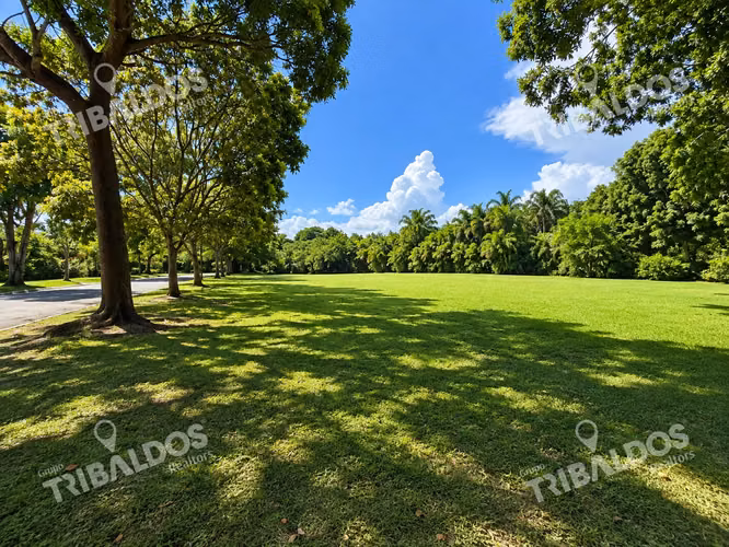 Venta de Terreno en  PH Santa Maria Island Estates