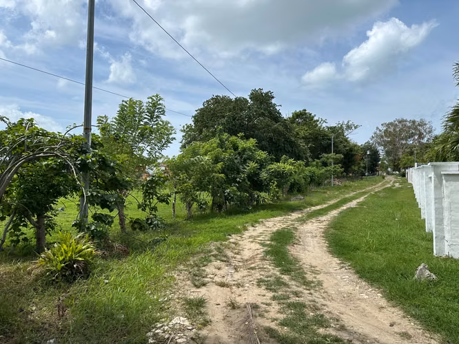 Lote en Coronado Cerca del Lago - $93,500 - Imagen 3