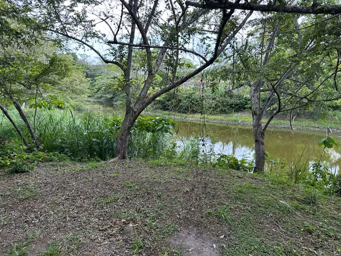 Lote en Coronado Cerca del Lago - $93,500 - Imagen 5