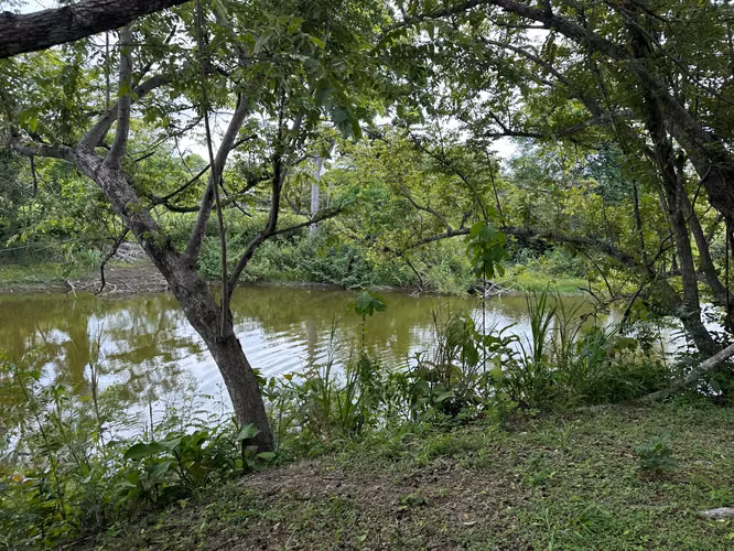 Lote en Coronado Cerca del Lago - $93,500 - Imagen 6