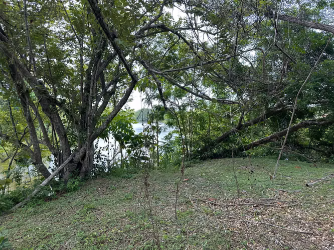 Lote en Coronado Cerca del Lago - $93,500 - Imagen 7