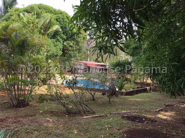 SE VENDE FINCA 9,500MTS CON PISCINA Y JACUZZ EN ARRAIJAN (HUILE)