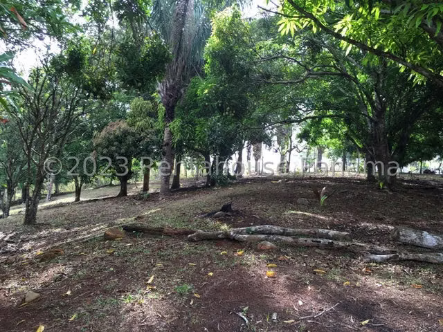 SE VENDE FINCA 9,500MTS CON PISCINA Y JACUZZ EN ARRAIJAN (HUILE)