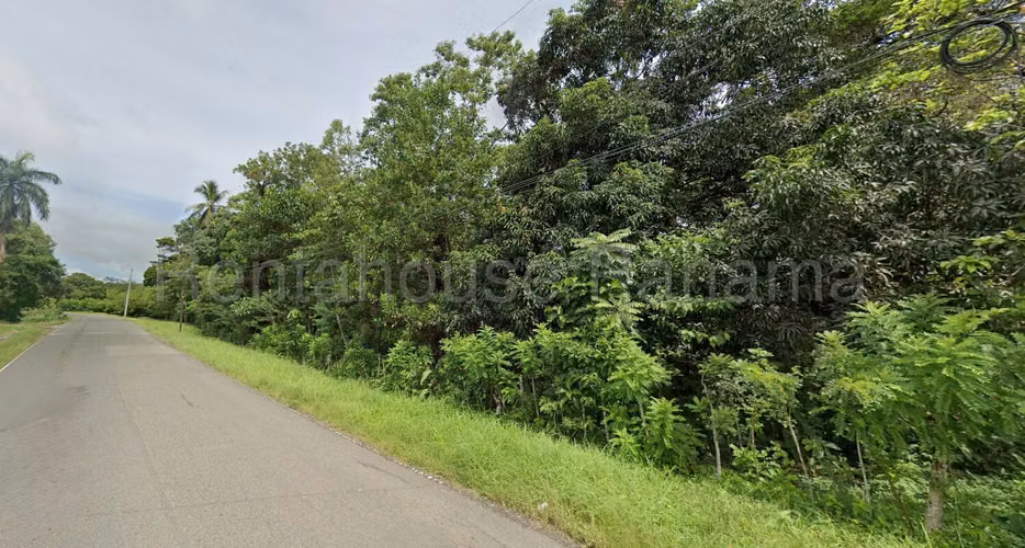 Venta Terreno Colon - YD - Imagen 8