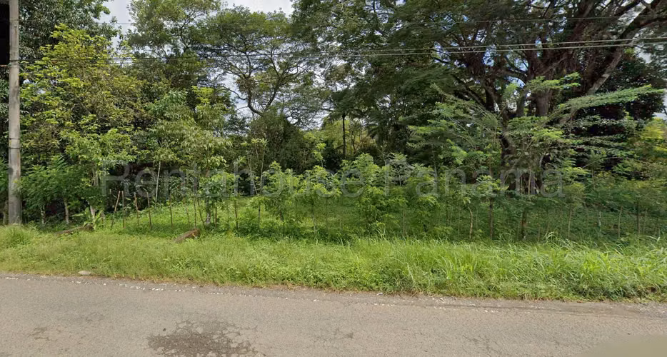 Venta Terreno Colon - YD - Imagen 5