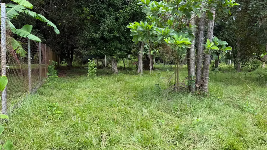 Venta de terreno en Chorrera, Santa Rita  - Imagen 6