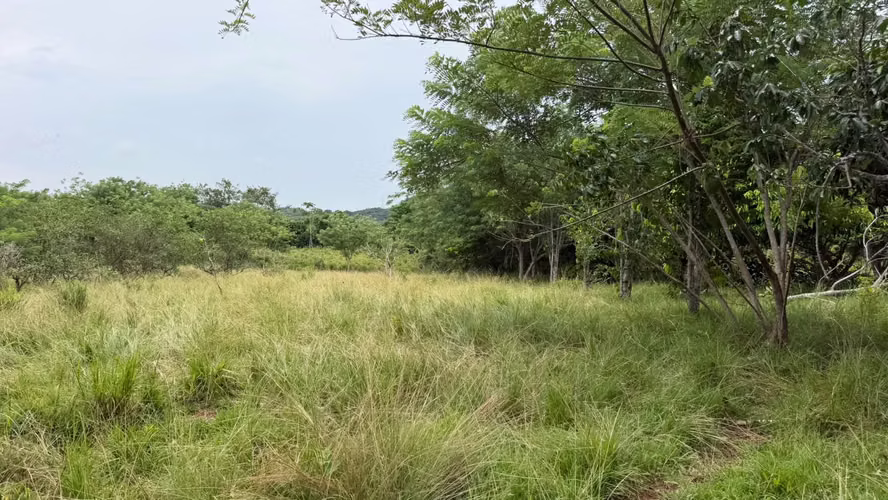 Venta de terreno en Chorrera, Santa Rita  - Imagen 4