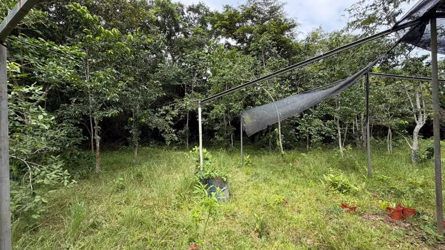 Venta de terreno en Chorrera, Santa Rita  - Imagen 2