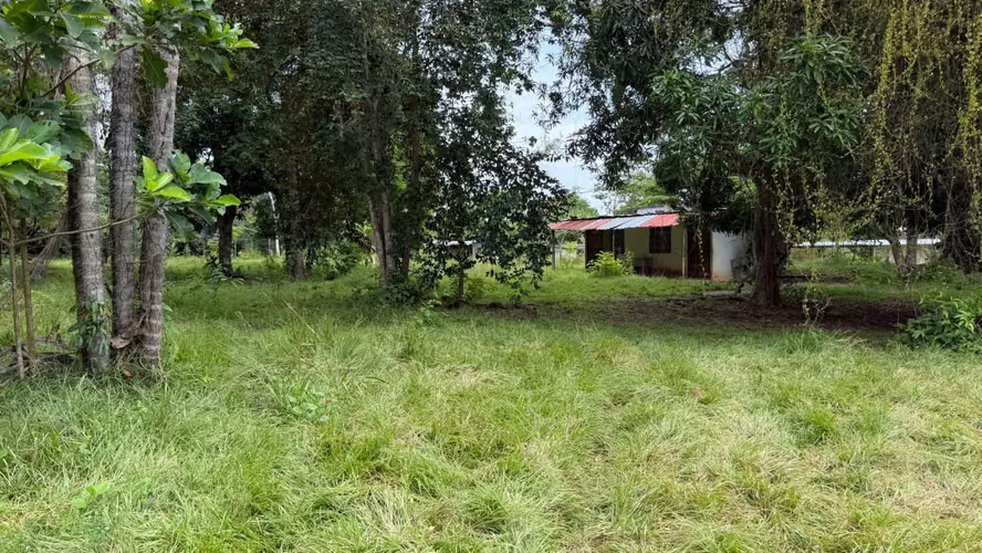 Venta de terreno en Chorrera, Santa Rita  - Imagen 5