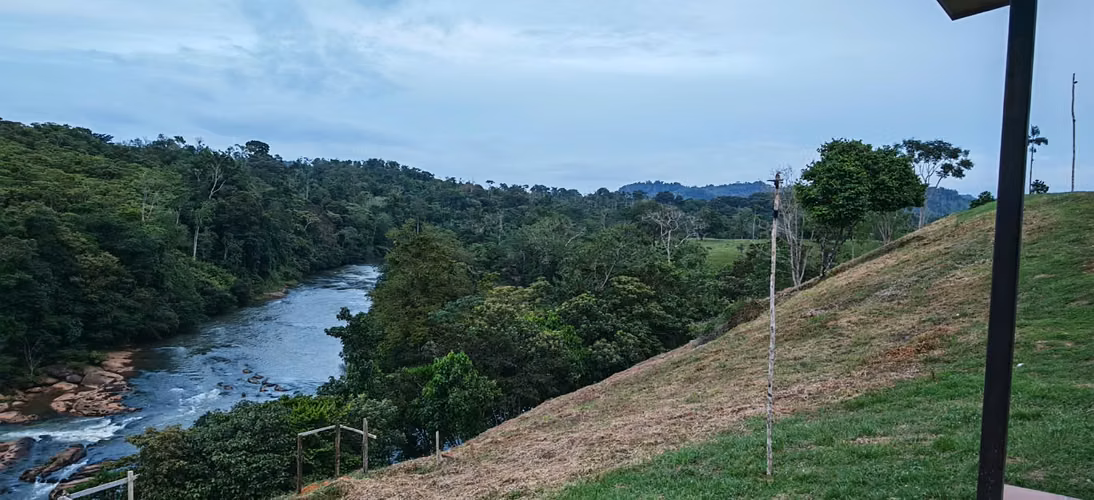 FINCA DE 100 HECTÁREAS EN VENTA EN PASO REAL, PENONOMÉ, PANAMÁ - Imagen 2