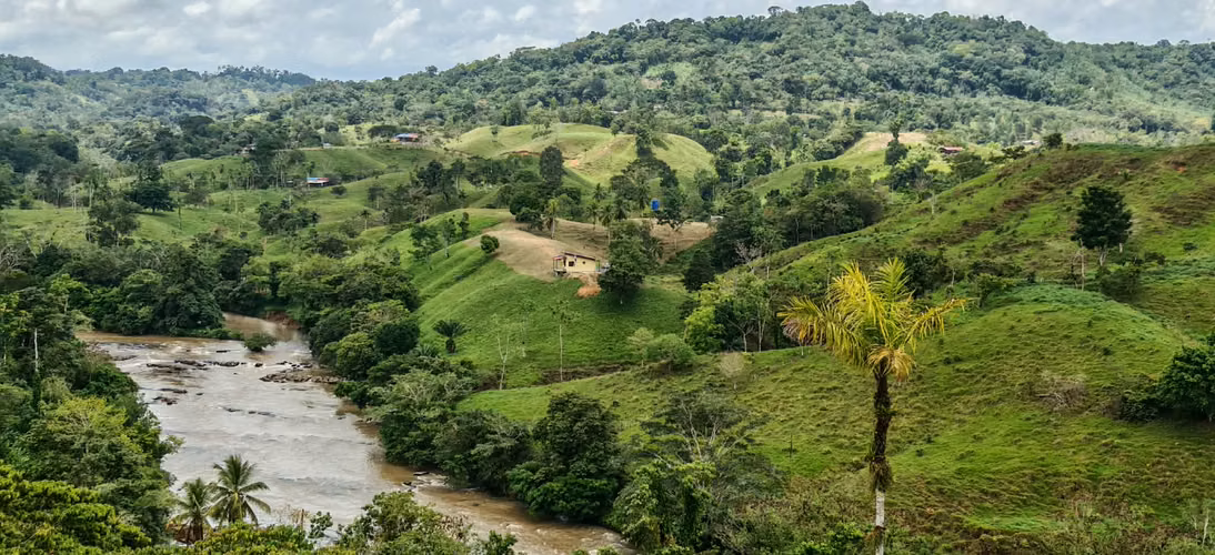 FINCA DE 100 HECTÁREAS EN VENTA EN PASO REAL, PENONOMÉ, PANAMÁ