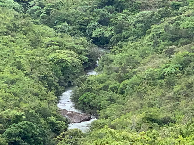 FINCA DE 39 HECTÁREAS CON RÍO EN SANTA FE, VERAGUAS, PANAMÁ
