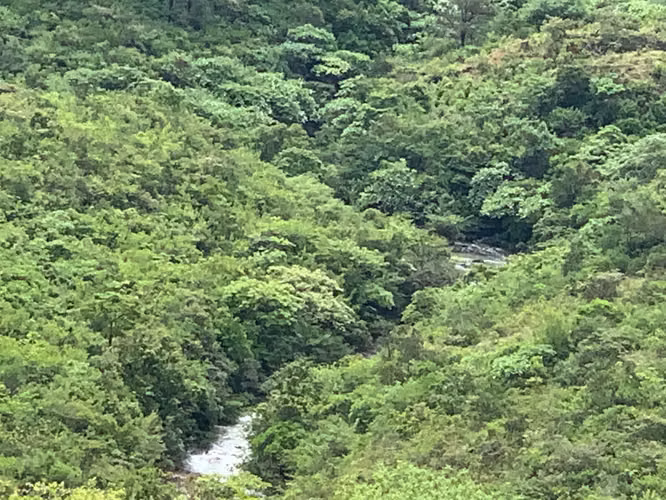 FINCA DE 39 HECTÁREAS CON RÍO EN SANTA FE, VERAGUAS, PANAMÁ