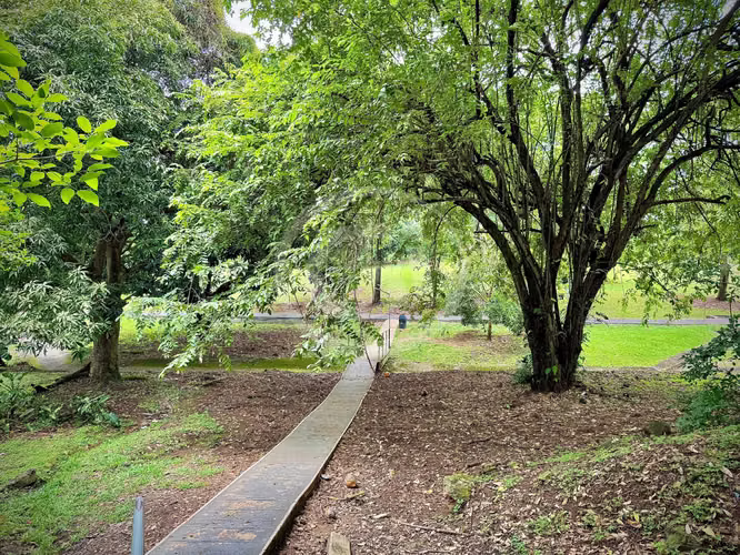 Alquiler Apartamento Park Point amoblado - Imagen 17