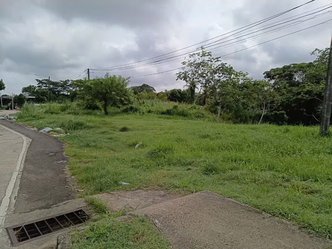 Remato terreno comercial en via panamericana chorrera - Imagen 2