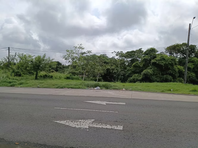 Remato terreno comercial en via panamericana chorrera - Imagen 3